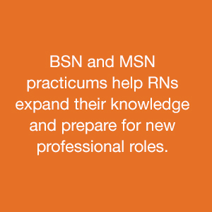 BSN and MSN practicums help RNs expand their knowledge Icon.
